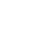 SVN International